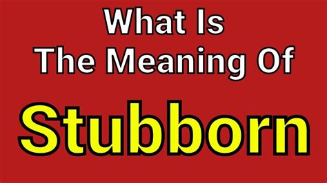 stubborn deutsch|what is something that stubborn.